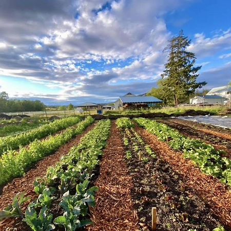 Saturn'S Return Bed & Breakfast Friday Harbor Bagian luar foto