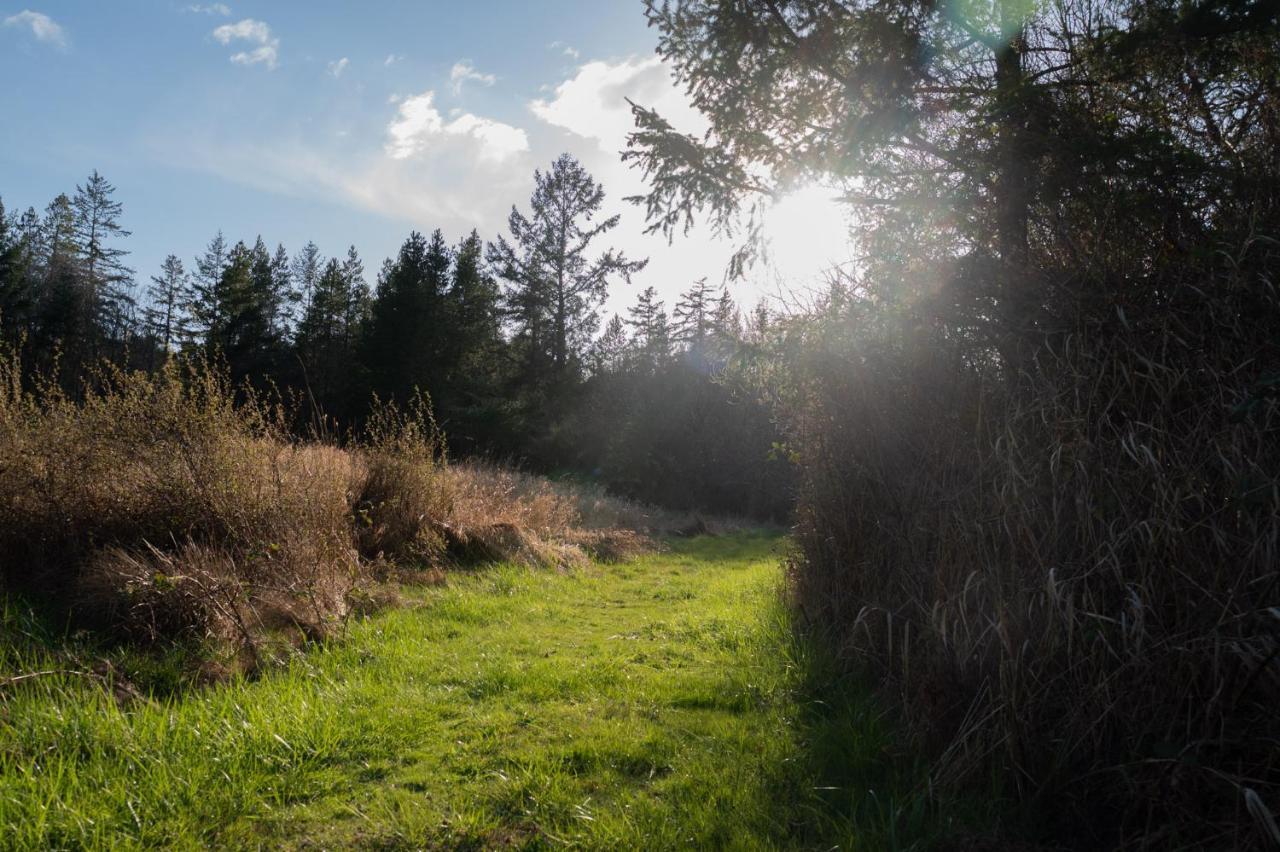 Saturn'S Return Bed & Breakfast Friday Harbor Bagian luar foto